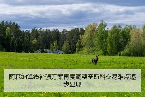 阿森纳锋线补强方案再度调整塞斯科交易难点逐步显现